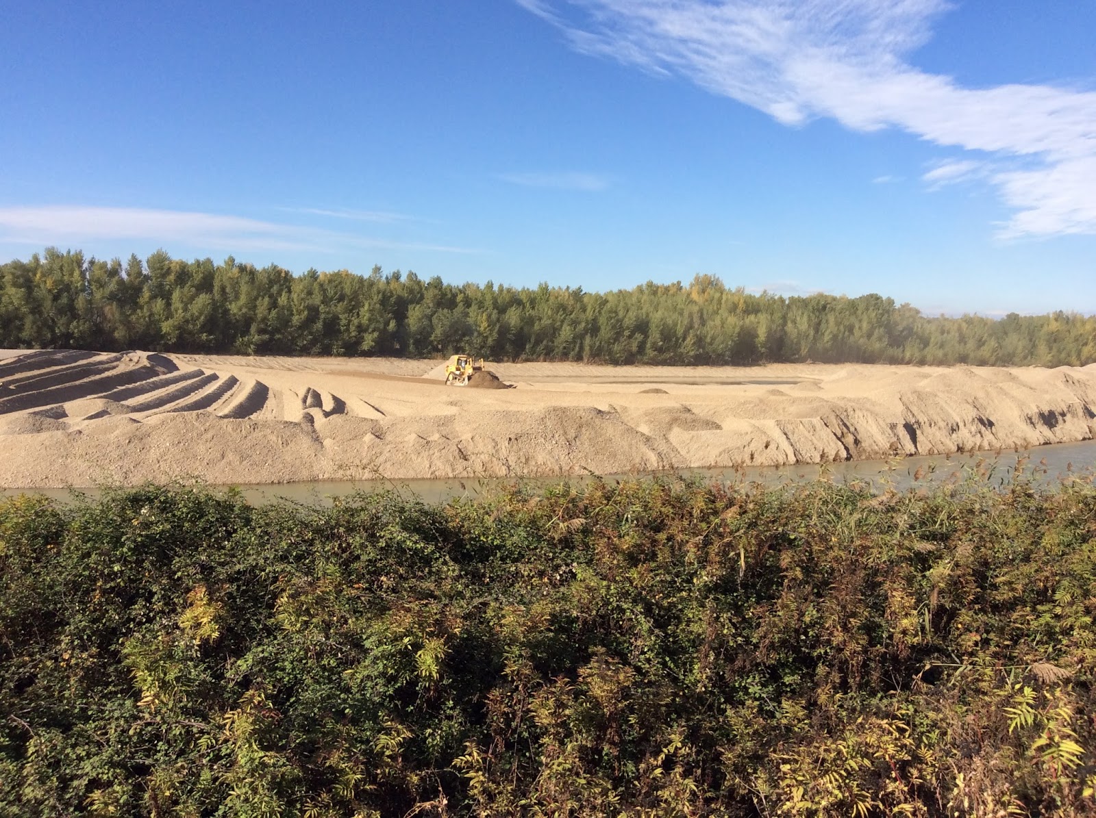 Exigimos la inmediata paralización de la destrucción de los sotos de Alfaro