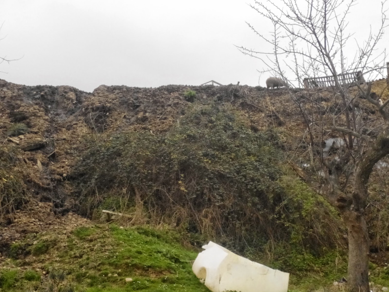 Amigos de la Tierra La Rioja denuncia el estado de una granja de ovino en Viguera