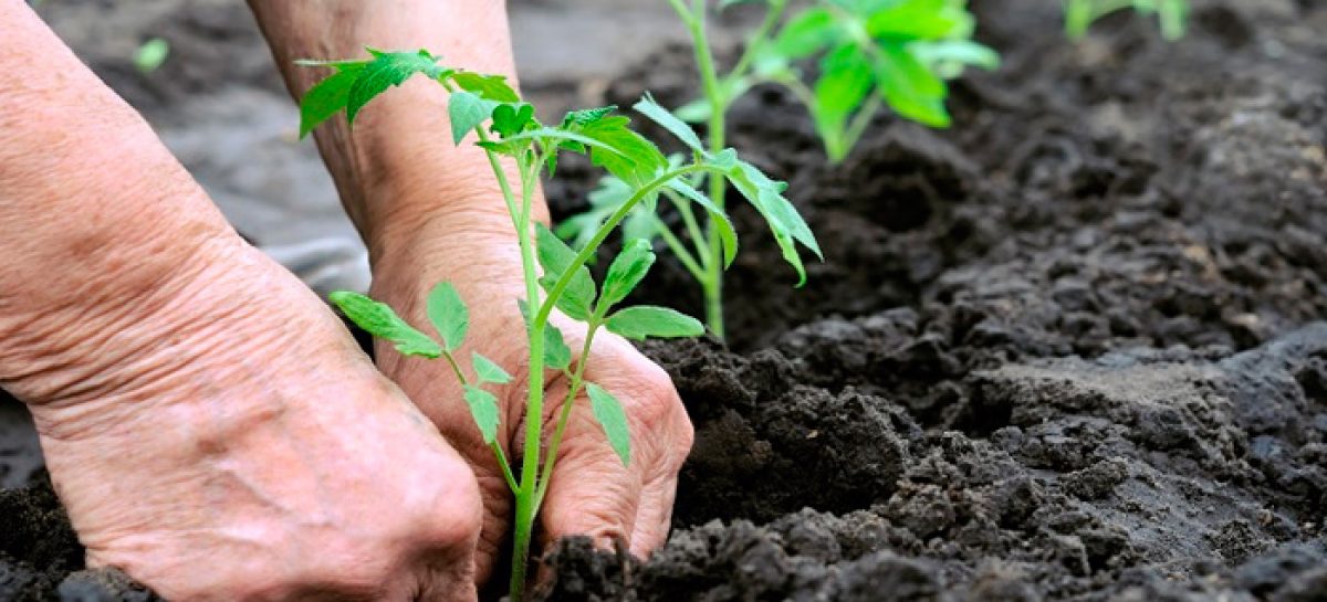 Amigos de la Tierra La Rioja demanda a los partidos políticos que trabajen intensamente en una política ambiental rigurosa y seria durante la próxima legislatura.
