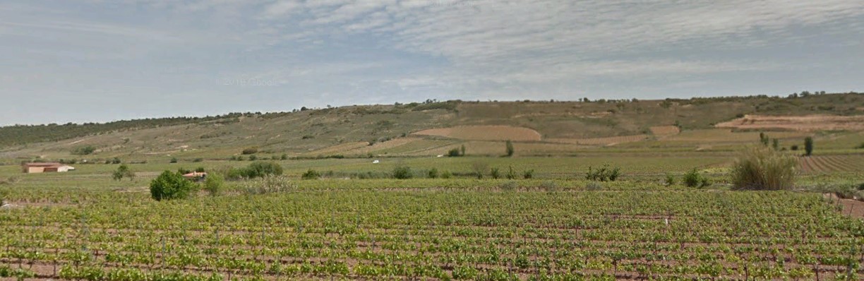 El Gobierno Regional impone importantes restricciones a la Modificación Puntual del PGM de Fuenmayor para construir bodegas en suelo no urbanizable con especial protección forestal y paisajística