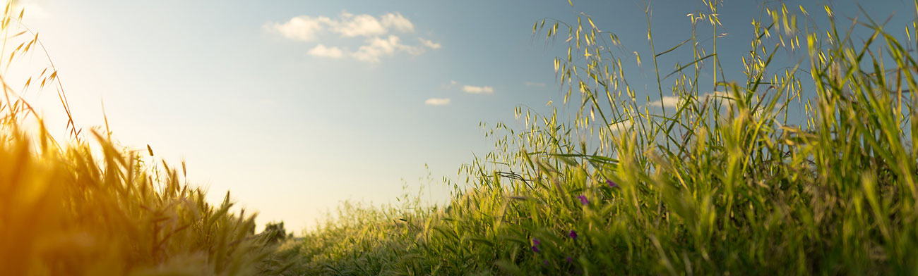 Logramos la demolición del azud de Torrecilla en Cameros