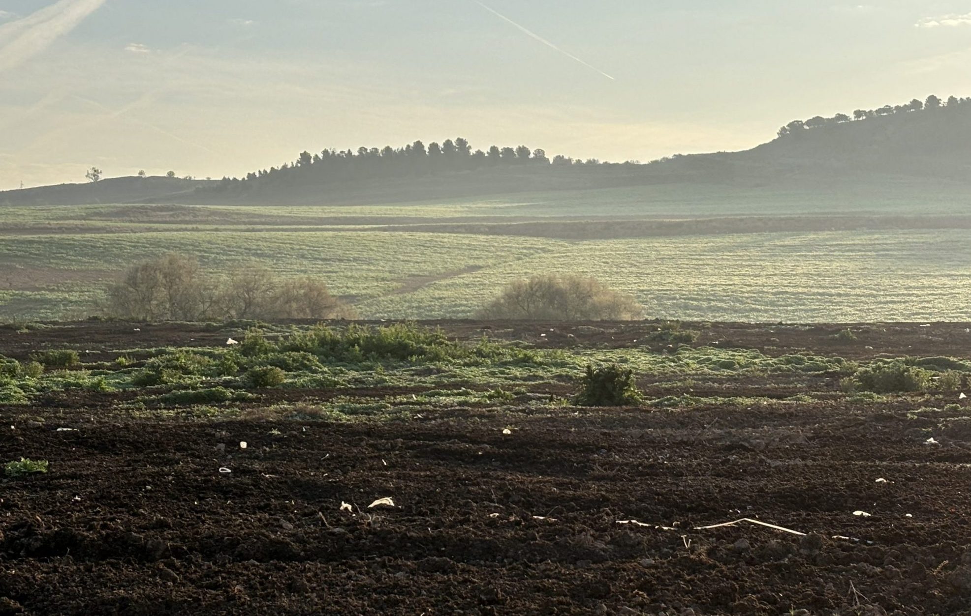 La Confederación Hidrográfica del Ebro sanciona los vertidos ilegales de residuos de champiñón en Pradejón tras la denuncia presentada por Amigos de la Tierra La Rioja