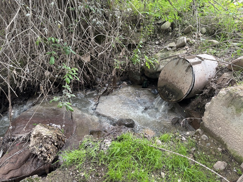 Amigos de la Tierra La Rioja denuncia por cuarta vez los vertidos de Nájera al río Najerilla y exige a la CHE una solución definitiva