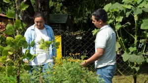 Caso de éxito_Cosecha de sistema de producción_San José, La Maquina (32)