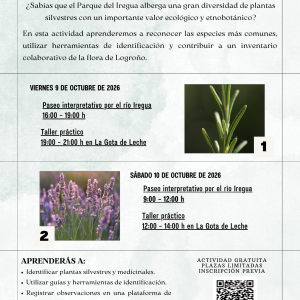 Taller: Plantas medicinales y biodiversidad urbana