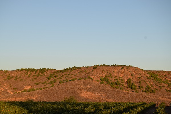 Cabezo La Torre en Aldeanueva de Ebro se trata de la ubicación donde quieren realizar el parque eólico de La Aldea.