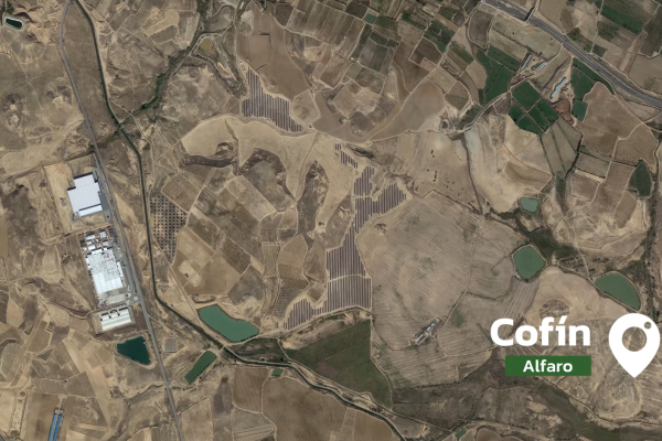 El Ayuntamiento de Alfaro archiva el expediente del cebadero de bovino previsto junto al Carrizal de Cofín