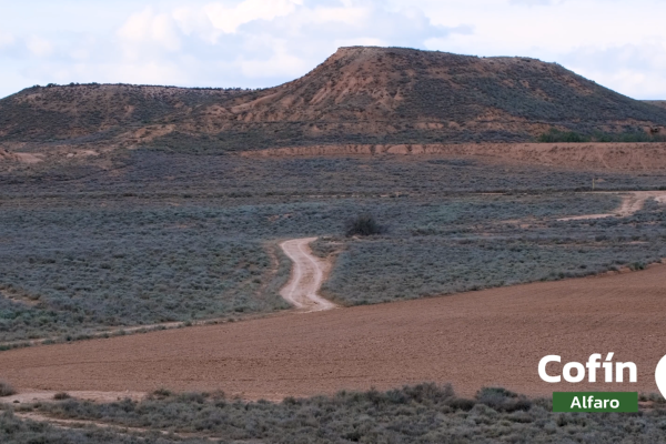 Amigos de la Tierra La Rioja reclama que no se autorice un cebadero de bovino junto al Carrizal de Cofín